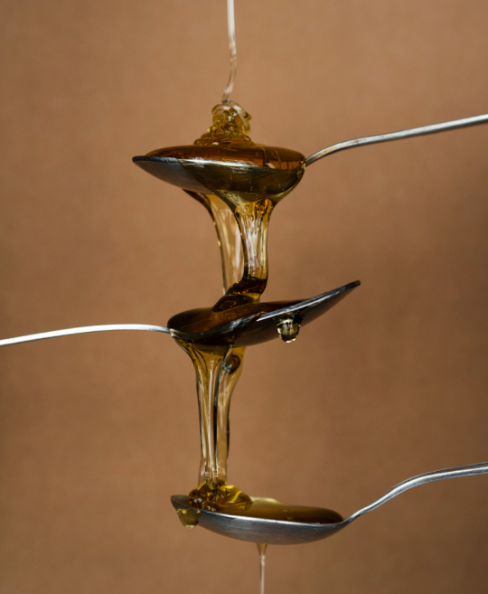 Expanding into Glucose Syrup and Rice Protein Feed Grade