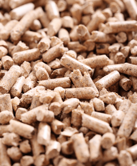 Expanding with Rice Protein Feed Grade